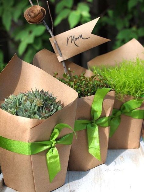 Wrap Potted Plants, Plant Gift Ideas, Plants Craft, Brown Paper Bags, Craft Papers, Plant Gift, Homemade Christmas Gifts, Craft Paper, Plant Gifts