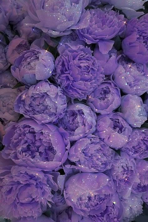 Purple Aesthetic Background, Violet Aesthetic, Violet Pastel, Sparkle Wallpaper, Glittery Wallpaper, Purple Vibe, Lavender Aesthetic, Aesthetic Purple, Aesthetic Background