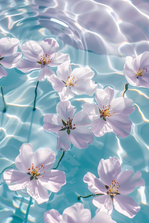 Drift into tranquility with these serene floating flowers, perfect for both iPhone and Android devices. 📱💧 Keep your screen fresh and your mind at ease with this peaceful display. Water Presentation Design, Asthetic Picture Wallpaper Computer, Water Flower Wallpaper, Water Widget, Flowers Floating In Water, Flower In Water, Flowers In Water, Flowers And Water, Flowers Water