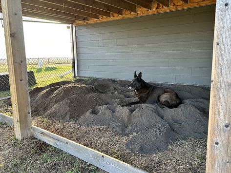 Dig Pit For Dogs, Acreage Living, Pet Food Store, Holistic Health Nutrition, Franchise Food, West Paw, Dog Enrichment, Sensory Garden, Series To Watch