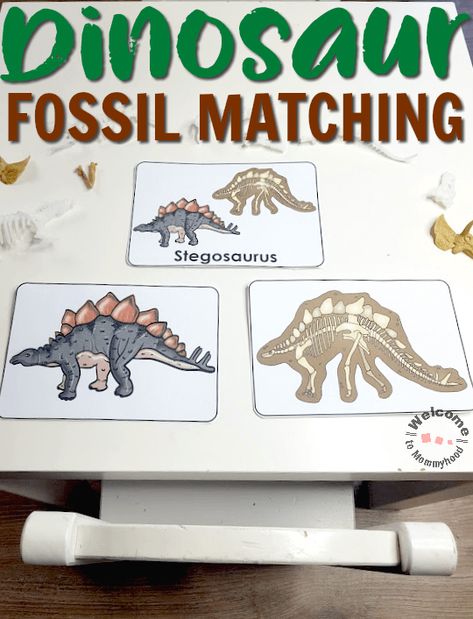 Dinosaur Fossil Matching (from Welcome to Mommyhood on TpT) Dinosaur Activities For Kids, Dinosaurs Kindergarten, Dinosaur Unit Study, Crafts Dinosaur, Preschool Dinosaurs, Dinosaur Week, Dinosaur Activities Preschool, Thema Dino, Welcome To Kindergarten