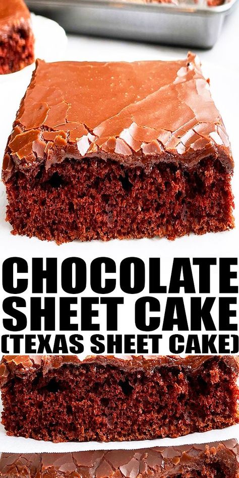 Easy Texas Sheet Cake Recipe, Sheet Cake Chocolate, Soft Chocolate Cake, Chocolate Sheet Cake Recipe, Texas Sheet Cake Recipe, Sheet Cake Recipe, Cake From Scratch, Texas Sheet, Texas Sheet Cake