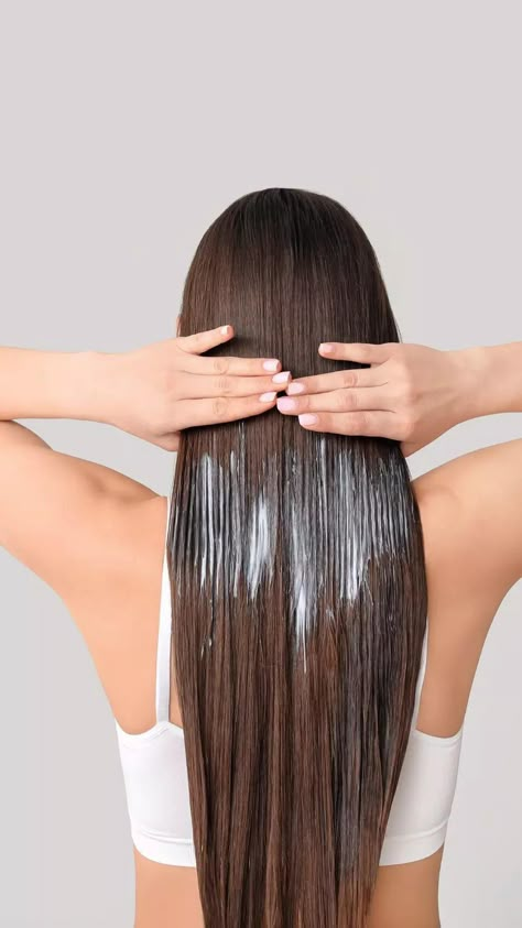 Olive Oil Hair Benefits, Hair Fall Tips, Hair Lossing Tips, Hair Care Steps, Hair Lossing, Hair Olive Oil, Hair Fall Control Tips, Hair Care Routine Daily, Hair Care Tips For Growth