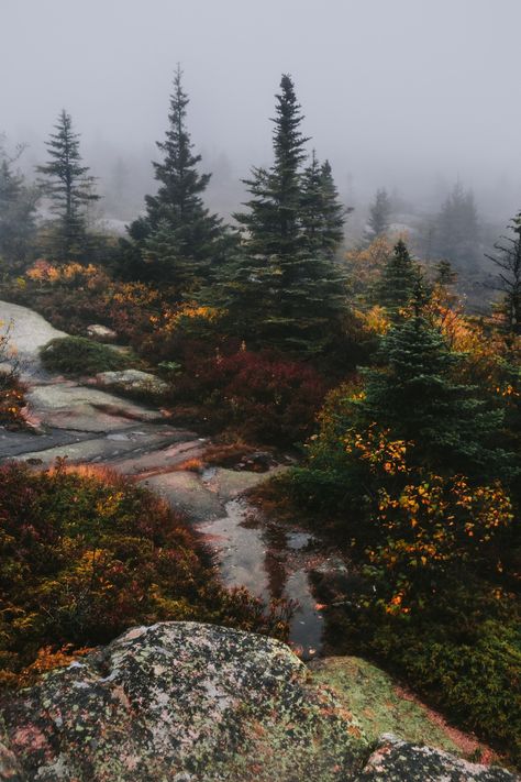 Acadia National Park Camping, Acadia National Park Maine, Acadia National Park, Nature Aesthetic, Pretty Places, In The Mountains, Nature Travel, In The Woods, Beautiful World