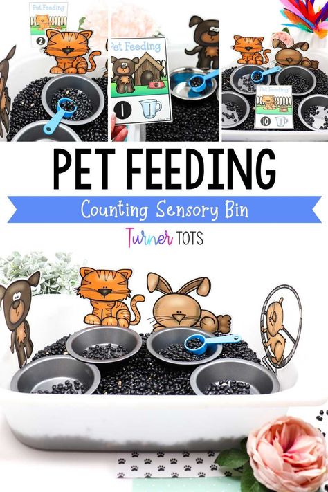 Pet Fine Motor Activities For Preschool, Pets Crafts For Preschoolers, Pet Themed Sensory Bin, Animal Themed Activities For Toddlers, Pets Science Preschool Activities, Pets Lesson Plans Preschool, Pet Math Activities, Pets Arts And Crafts Preschool, Pet Sensory Bin