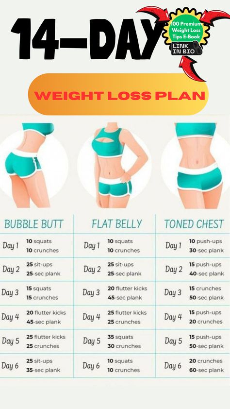 14 Days Weight Loss Exercise // exercise for flat stomach // exercise for flat stomach // #exerciseroutines#morningexerciseroutine Full Day Diet Plan, Exercise For Flat Stomach, How To Do Lunges, How To Do Crunches, How To Do Squats, Stomach Exercise, Best Full Body Workout, Evening Workout, Full Body Workout At Home