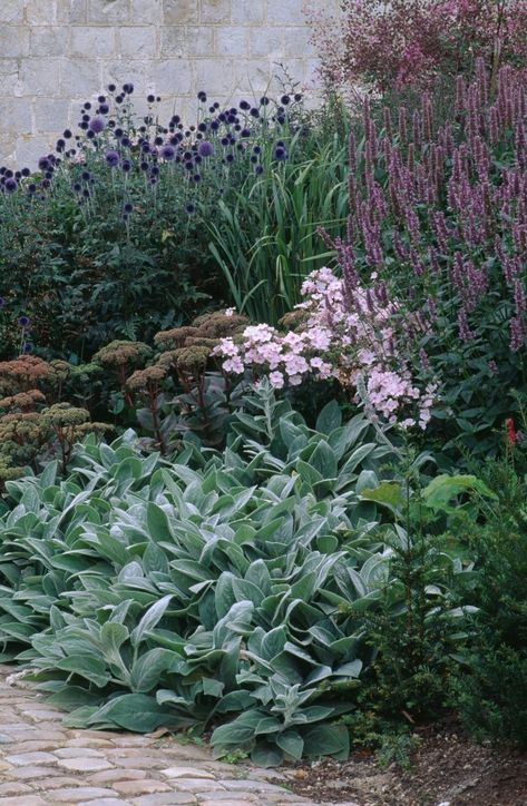 Garden Visit: A Green Palette at Christopher Bradley-Hole’s Bury Court Have Inspiration, Pet Animals, Mediterranean Garden, Plant Combinations, Garden Borders, Plants And Flowers, Garden Cottage, Shade Garden, Front Garden