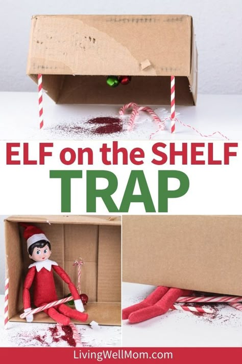 Elf Trap Stem Challenge, Elve Ideas, Elf Trap Ideas, Elf Trap, Holiday Stem Activities, Stem Learning Activities, Stem Activity For Kids, Christmas Tools, Stem Kids