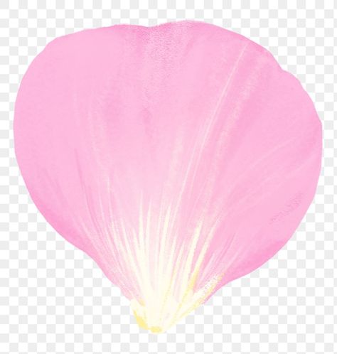 5 Petal Flower, Png Floral, Bloom Blossom, Bolo Fake, Flower Petal, 3d Modelling, Cool Pictures Of Nature, Png Design, Free Illustrations