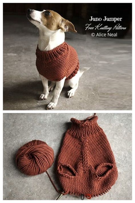 Knit Dog Sweater Free Knitting Patterns - Knitting Pattern Sweater For Cat Pattern, Knit Pet Sweater Free Pattern, Cat Clothes Knitting Pattern, Dog Knit Sweater Pattern Free, Doggie Sweater Knit Pattern Free, Knit Sweater For Cat, Chunky Knit Dog Sweater Free Pattern, Knit Small Dog Sweater Free Pattern, Knitting Patterns For Cats