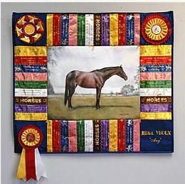 Ways to Preserve your Horse Show Ribbons, instead of sitting in boxes collecting dust Horse Ribbon Display, Show Ribbon Display, Ribbon Board, Horse Show Ribbons, Horse Ribbons, Ribbon Display, Ribbon Projects, Award Ribbons, Ribbon Ideas