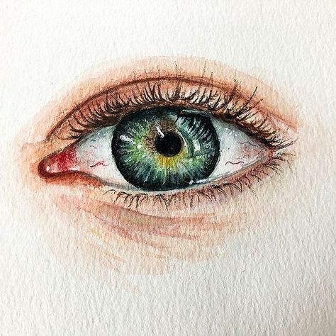 A watercoloured eye from the art journal Water Colour Eye, Watercolour Pencil Art, Watercolour Eye, Watercolor Faces, Face Illusions, Watercolor Pencil Art, Realistic Eye Drawing, Watercolor Face, Watercolour Ideas