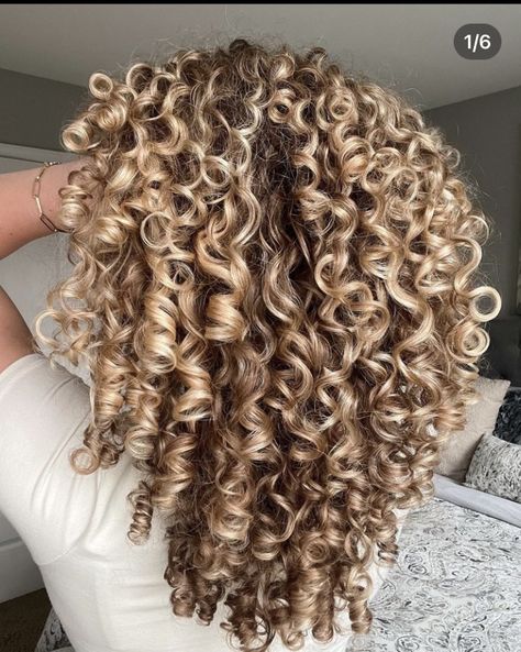 Curly Hair With Caramel Highlights, Blonde Highlights Curly Hair, Really Curly Hair, Curly Blonde Hair, Dyed Curly Hair, Natural Curly Hair Cuts, Highlights Curly Hair, Brown Curly Hair, Brunette Hair With Highlights