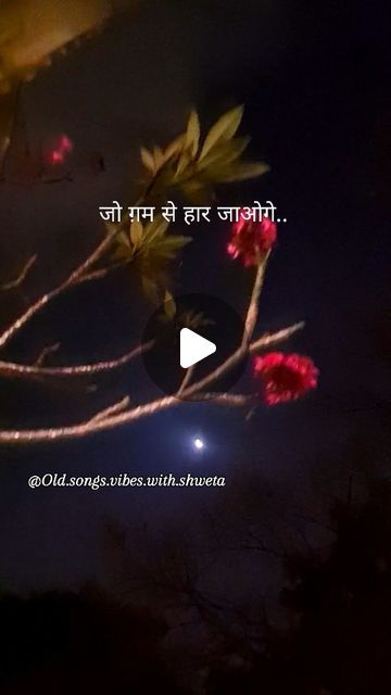 Old Bollywood Songs, Old Songs, Kitty Party, Cat Party, Kitty, Moon, Songs, On Instagram, Instagram