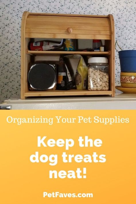 Dog Treat Organization Ideas, Dog Treat Container Ideas, Dog Treat Storage Ideas, Dog Treat Storage, Dog Treat Container, Dog Dental Chews, Clutter Solutions, Pet Friendly House, Dog Treat Jar