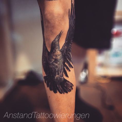 Black and Grey Crow/Bird tattoo On leg / shin by Facebook.com/anstandtattoowierungen Bird Shin Tattoo, Crow Leg Tattoo, Bird Tattoo On Leg, Bird Leg Tattoo, Corvid Tattoo, Tattoo Shin, Tattoo Perna, Bluebird Tattoo, Tattoo Sites