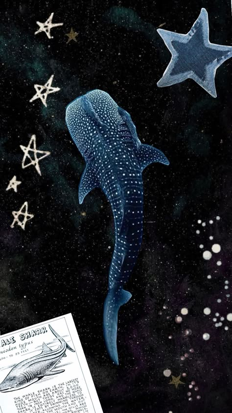 Whale Shark Lockscreen, Iphone Wallpaper Whale, Whale Shark Wallpaper, Shark Posters, Whale Shark Drawing, Shark Wallpaper, Shark Drawing, Marine Biologist, Whale Shark