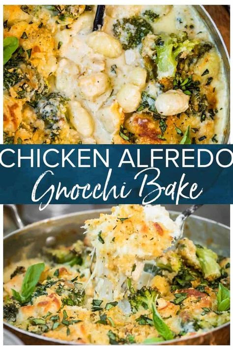 Chicken Alfredo Gnocchi Bake is the perfect comfort food and comes together easily with homemade gnocchi. Creamy and full of flavor this is a great made from scratch family dish that everyone will love! Alfredo Gnocchi Bake, Chicken Alfredo Gnocchi, Gnocchi Creamy, Alfredo Gnocchi, Gnocchi Bake, Baked Gnocchi, Family Dishes, Homemade Gnocchi, Creamy Recipes