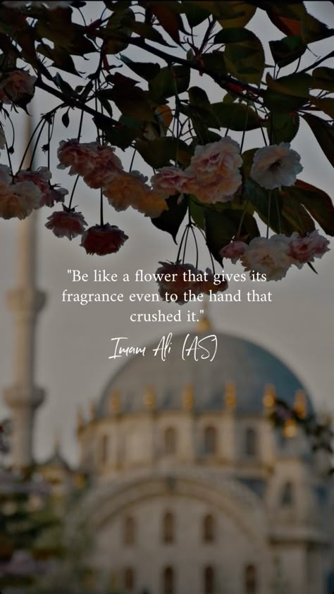 Al Qur'an Aesthetic, Short Islamic Quotes, Imam Ali Quotes, Ayat Quran, Beautiful Quran Verses, Quote Islam, Best Islamic Quotes, Muslim Love, Ramadan Quotes