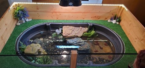 Diy indoor turtle pond Diy Aquatic Turtle Habitat, Indoor Turtle Pond, Turtle Tank Setup Ideas, Turtle Tub, Aquatic Turtle Habitat, Tank Setup Ideas, Turtle Tank Setup, Pond Habitat, Turtle Terrarium