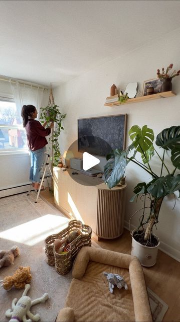 natalie doef on Instagram: "Minnow wins this battle 🤣🐾 I knew as she got bigger I would need to move some of my plants. Hanging the Pothos was an easy fix! Did you see my little trick to making a hanging plant look fuller? 👀 Tiny jars for propagating vines right in the soil (just remember to add water every couple days) 😄🌱 Now I’m trying to figure out what to do with the Monstera… I’m open to suggestions 😅 If any pet parents have advice on how to get her to stay away, I’m all ears! 

.
.
.
.
Hanging plant #pothos #houseplants #plantlover houseplant #monstera pets puppy #puppy #puppies dog #dogmom #petsofinstagram home decor living room #homedecor" Natalie Doef, Plants Hanging, Tiny Jars, Hanging Plant, Home Decor Living Room, Pet Puppy, The Soil, Decor Living Room, Pet Parent