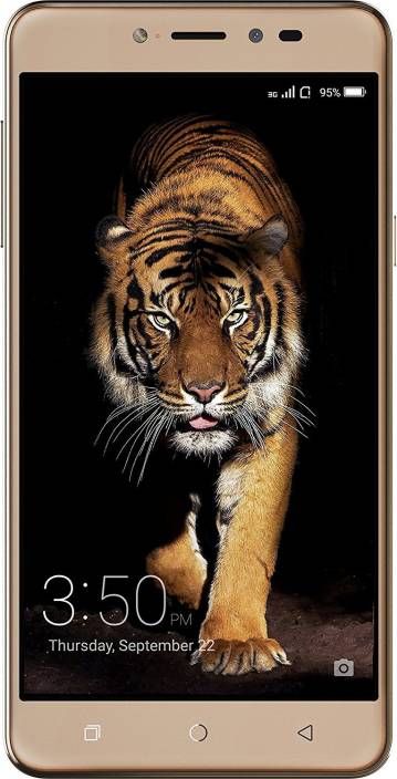 Coolpad Note 5 Lite (Royal gold, 16 GB) Tiger Walking, Tiger Photography, Wild Animal Wallpaper, Tiger Wallpaper, Tiger Pictures, Best Smartphone, Boost Mobile, Tiger Art, Note 5