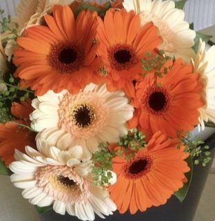 Orange Daisy Bouquet, Orange Gerbera Bouquet, Gerbera Daisy Flower Arrangements, Bouquet Of Flowers Orange, Gerbera Wedding Bouquet, Gerbera Arrangement, Gerberas Bouquet, Orange Flowers Bouquet, Gerbera Bridal Bouquet