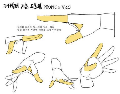 Draw a triangular ‘web’ by connecting the corners of the base by drawing a curved line when the index finger and the thumb are widened apart. Taco1704 Hands, Taco Drawing, Draw Hands, Anatomy Tutorial, Human Anatomy Drawing, Manga Drawing Tutorials, Hand Drawing Reference, Human Anatomy Art, Anatomy Sketches