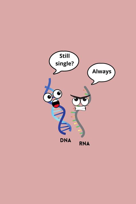 Dna Drawing, Dna And Rna, Tissue Types, Still Single, Science Tshirts, Research Lab, Science Biology, Science Lab, Transcription