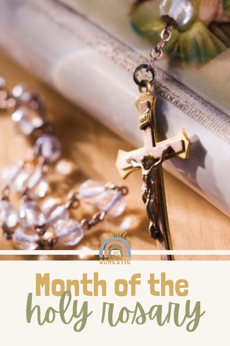 October is the month that the Catholic Church has dedicated to the Holy Rosary. And on 7th of this month, we celebrate the feast day of the Most Holy Rosary of the Blessed Virgin Mary. In this post, I wanted to share a few saint quotes, favorite rosary devotions, and books that are helpful to me in celebrating this special month of Our Lady. Rosary Poster, Rosary Quotes, Our Lady Of The Rosary, Pope Leo, Positive Quotes Wallpaper, The Blessed Virgin Mary, Best Meditation, All Saints Day, Holy Rosary