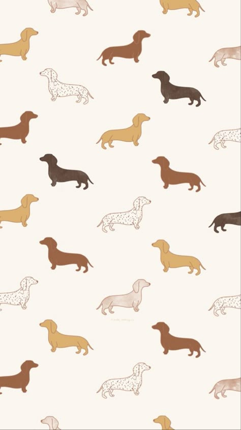 Weiner Dog Wallpaper, Wiener Dog Wallpaper, Dogs Wallpaper Aesthetic, Sausage Dog Wallpaper Iphone, Dashound Wallpaper Iphone, Dog Background Wallpapers, Dachshund Wallpaper Iphone, Sausage Dog Wallpaper, Dog Wallpaper Aesthetic