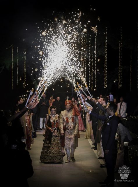 Bride Groom Entry, Married Couple Photos, Garden Palace, Udaipur Wedding, Groom Entry, Bride Entry, Wedding Entrance Decor, Bridal Photography Poses, Indian Wedding Couple Photography