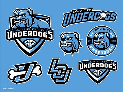 Sports Team Logos, Cute Panda Wallpaper, Logo Brand Identity, Sports Logos, Cartoon Logo, Mascot Design, Learning Design, Logo Branding Identity, Jersey Design