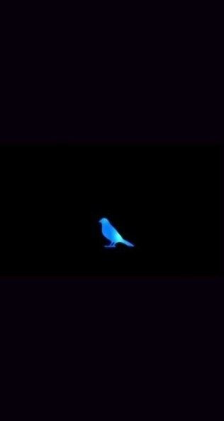 Blue Bird Naruto Wallpaper, Bird Wallpaper Iphone, Blue Bird Wallpaper, Blue Bird Naruto, Naruto Wallpaper Iphone, Naruto Shippudden, Naruto Shippuden Sasuke, Bird Wallpaper, Naruto Kakashi