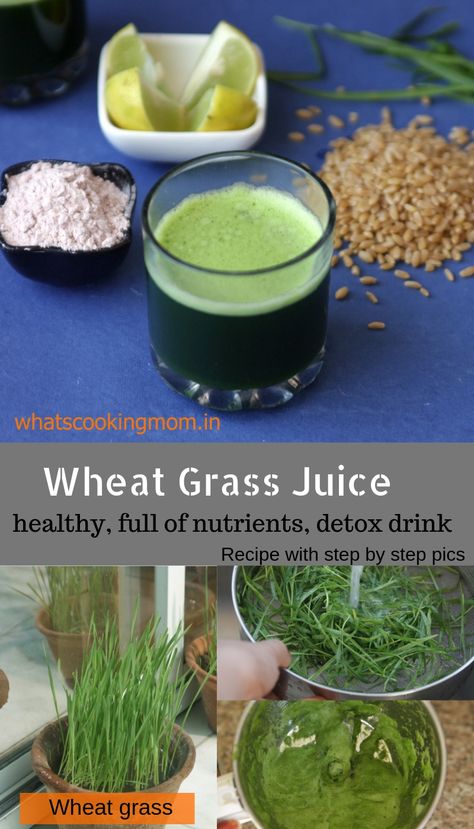 Wheat Grass Smoothie Recipes, Wheatgrass Recipes, Wheat Grass Benefits, Benefits Of Wheat Grass Juice, Barley Grass Juice Powder Benefits, Wheatgrass Juice, Wheatgrass Smoothie, Growing Wheat Grass, Whats Cooking