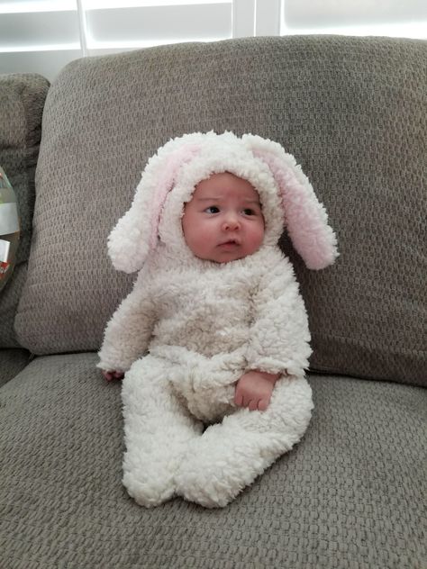 Baby Bunny Costume, Newborn Halloween Costumes, Bunny Halloween Costume, Newborn Halloween, Rabbit Costume, Hello Kitty Baby, Purple Elephant, Kids Around The World, Bunny Costume