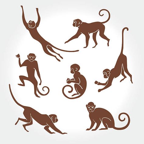 42,489 Monkey Illustrations, Royalty-Free Vector Graphics & Clip Art - iStock Monkey Silhouette, Monkey Drawing, Monkey Illustration, Monkey Logo, Monkey Tattoos, Monkey Art, Primates, Free Vector Graphics, Jungle Animals