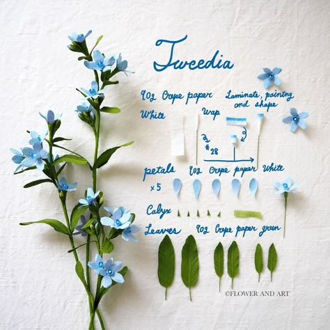 Tweedia🌿 The flower Blue Star is often seen at the flower shop around this time of the year. Its name has ‘star’ in it because it has… | Instagram Crepe Paper Flower Bouquet, Crepe Flowers, Paper Flower Art, Fleurs Diy, Origami Patterns, Flower Bouquet Diy, Paper Plants, Paper Flower Crafts, Crepe Paper Flowers