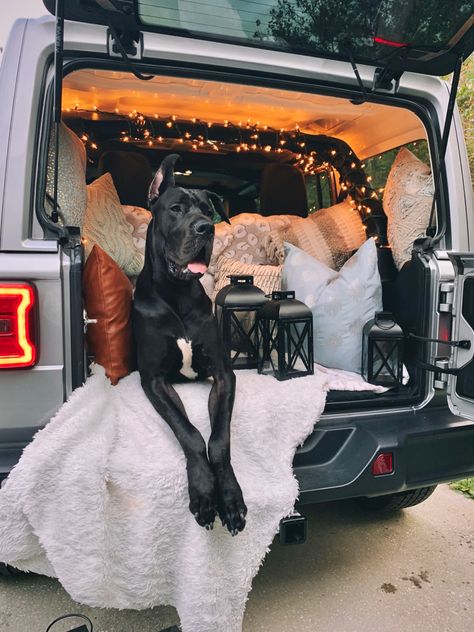 Lanterns, cozy blankets, decor pillows, fall, winter, JL, Jeep Wrangler, dog photo shoot, Great Dane, holidays Jeep Wrangler Dog Accessories, Jeep Wrangler Camping, 4wd Camping, Adventure Jeep, Jeep Sahara, Jeep Things, New Jeep Wrangler, Jeep Jku, Jeep Dogs