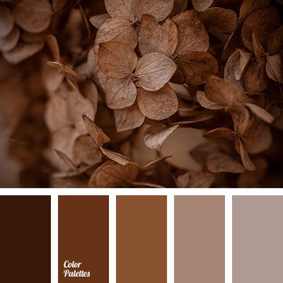 A lovely restrained palette paints, personifying the ground. Brown symbolizes reliability, stability and security. It is a great color for creating a home-. Boho Ideas, Brown Color Schemes, Brown Color Palette, Trendy Living Rooms, Have Inspiration, Room Paint Colors, Room Color Schemes, Brown Living Room, Color Balance