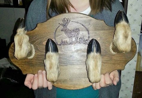 Deer hoof coat rack Deer Hoof Ideas, Antler Ideas, Trophy Rooms, Deer Decor, Taxidermy, Antlers, Hunting, Deer, Animals