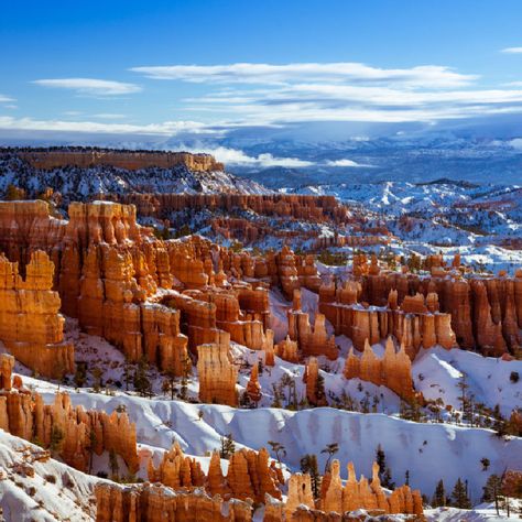 Desert National Park, Everglades National Park, Mount Rainier National Park, Rainier National Park, Bryce Canyon National Park, Utah National Parks, Bryce Canyon, Grand Canyon National Park, The Peak