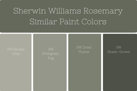 Rosemary by Sherwin Williams is a captivating green paint color that adds a touch of elegance and tranquility to any space. With its muted green tones and subtle gray undertones, Rosemary offers a sophisticated and versatile option for both interior and exterior settings. Rosemary By Sherwin Williams, Sherwin Williams Dried Thyme Exterior, Sherwin Williams Rosemary Cabinets, Rosemary Paint Sherwin Williams, Silvermist Sherwin Williams, Sherwin Williams Shade Grown, Green Cabinet Paint Colors, Rosemary Sherwin Williams, Rosemary Paint