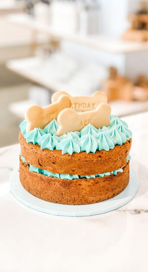 Imagínate la carita de felicidad de tu perrito cuando pruebe alguno de estos pasteles. Descubre aquí 5 tipos de pasteles que le encantarán. #perro #perroelmejoramigo #pastelesparaperros #premiosparaperros #amistad #amor Peanut Butter Cake For Dogs, Dog Birthday Cake Easy, Cake For Dogs, Dog Birthday Cake Recipe, Dog Cake Recipes, Cake Dog, Pet Treats Recipes, Dogs And Humans, Dog Biscuit Recipes