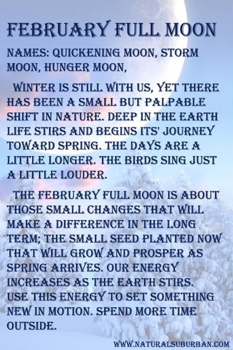 February 22, 2016 Full Snow Moon February Full Moon, Full Moon Names, Snow Moon, Moon Meaning, Moon Names, You Are My Moon, Full Moon Ritual, Wicca Witchcraft, Moon Cycles