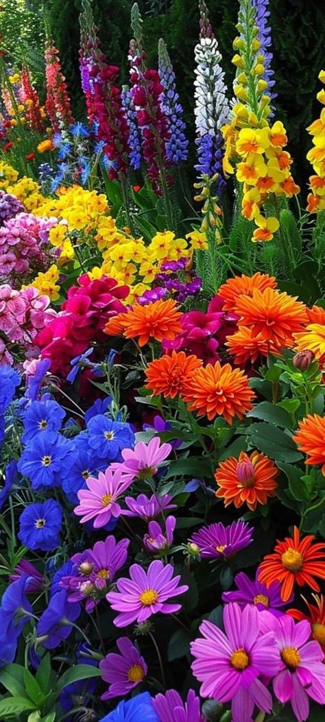 Flower Bed Designs, Cottage Garden Design, Perennial Flowers, Beautiful Flowers Photos, Garden Inspo, Beautiful Flowers Garden, Most Beautiful Flowers, Flower Gardens, Outdoor Lawn