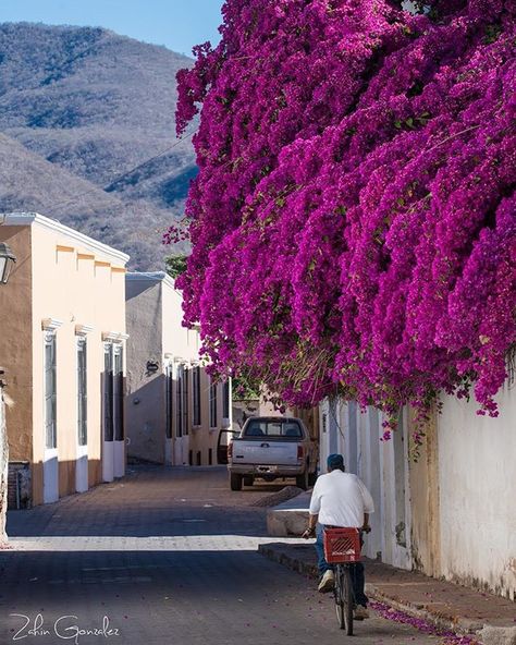 La Purisima, Visit Mexico, Perfect World, Mexico Travel, Wonderful Places, Beautiful Destinations, Nikon, Places To Go, Beautiful Places