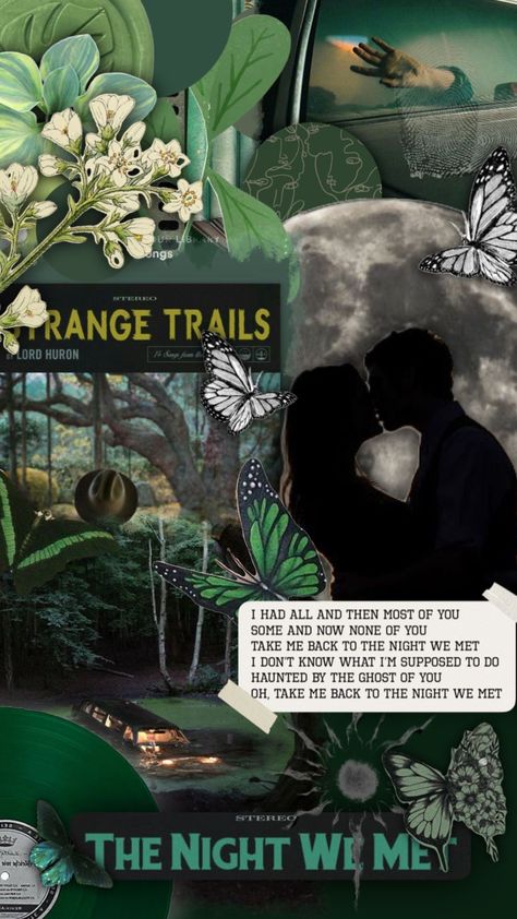 Lord Huron Strange Trails, Lord Huron Aesthetic, Strange Trails, Lord Huron, Ghost Of You, Aesthetic Green, Music Wallpaper, Kinds Of Music, Dark Night