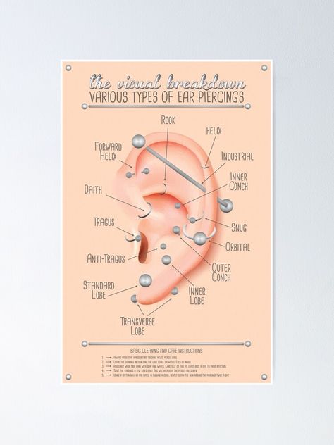 Ear Piercing Chart, Outer Conch, Ear Peircings, Ear Piercings Chart, Piercing Chart, Types Of Ear Piercings, Chart Infographic, Anti Tragus, Ear Piercing