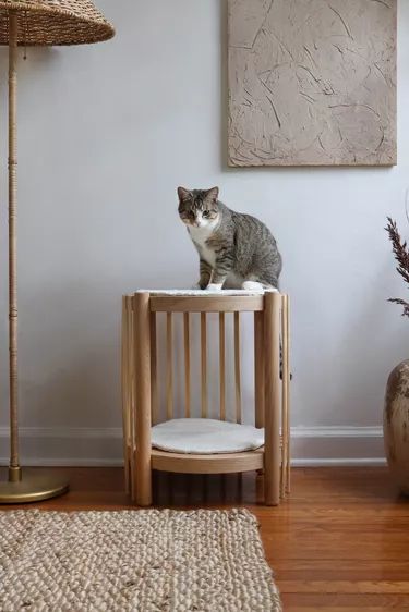 IKEA Hack Fluted Cat Tower DIY Tutorial (Animal-First Architecture) | Hunker Room Fall Aesthetic, Ikea Nightstands, Stylish Cat Tower, Ikea Cat, Diy Cat Tower, Katt Diy, Ikea Nightstand, Ikea Side Table, Diy Cat Bed